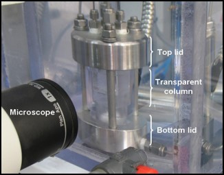 Morphology reactor 사진